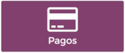 10. Pagos